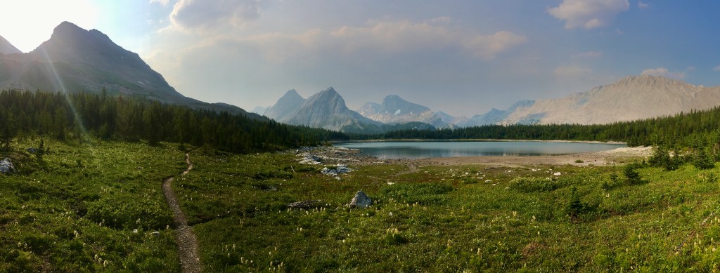 The Bears and The Bees – Great Divide Trail – 110KM Section C – Solo&nbsp;Hike